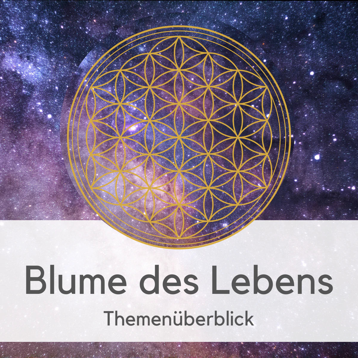 themen